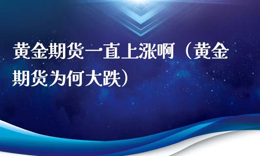 黄金期货一直上涨啊（黄金期货为何大跌）_https://qh.lansai.wang_股票技术分析_第1张