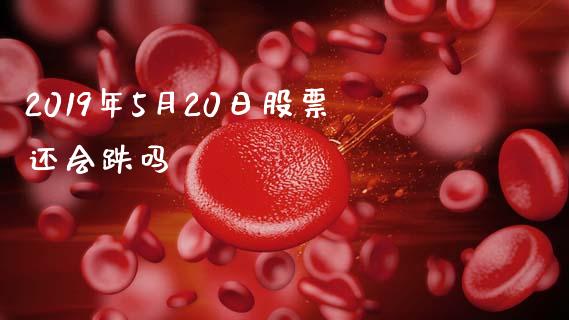 2019年5月20日股票还会跌吗_https://qh.lansai.wang_期货怎么玩_第1张