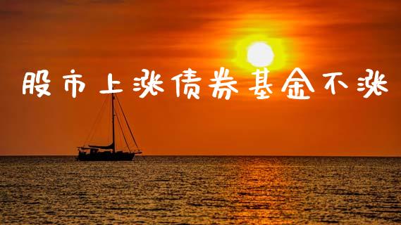 股市上涨债券基金不涨_https://qh.lansai.wang_期货理财_第1张