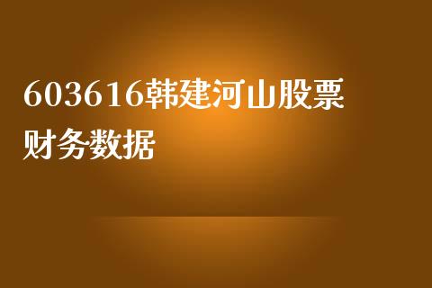 603616韩建河山股票财务数据_https://qh.lansai.wang_期货怎么玩_第1张