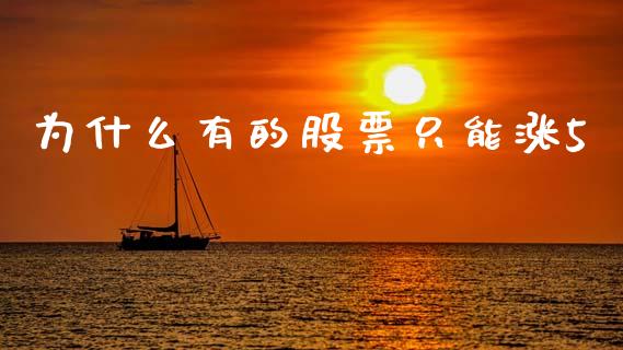 为什么有的股票只能涨5_https://qh.lansai.wang_期货怎么玩_第1张