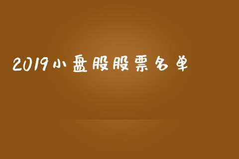 2019小盘股股票名单_https://qh.lansai.wang_期货理财_第1张