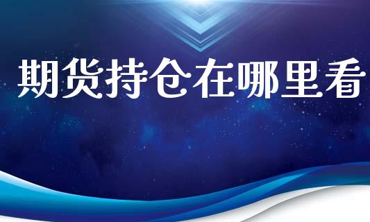 期货持仓在哪里看_https://qh.lansai.wang_股票新闻_第1张