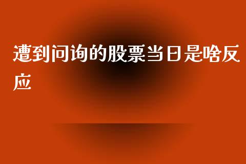 遭到问询的股票当日是啥反应_https://qh.lansai.wang_新股数据_第1张