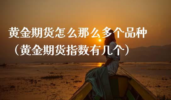 黄金期货怎么那么多个品种（黄金期货指数有几个）_https://qh.lansai.wang_期货喊单_第1张