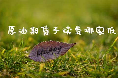 原油期货手续费哪家低_https://qh.lansai.wang_期货怎么玩_第1张