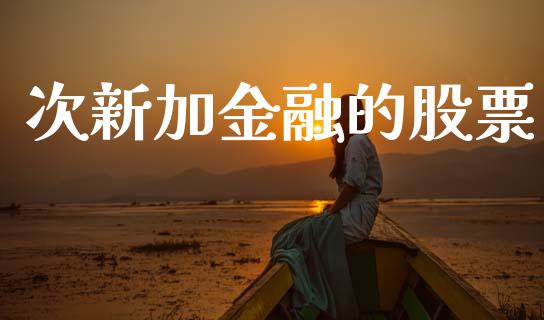 次新加金融的股票_https://qh.lansai.wang_新股数据_第1张