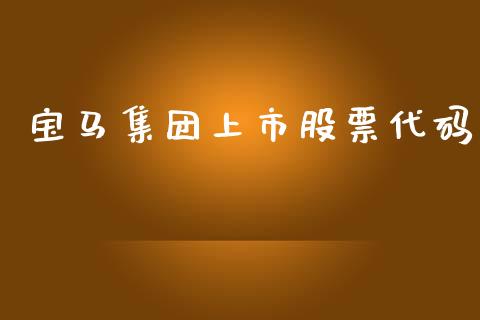 宝马集团上市股票代码_https://qh.lansai.wang_新股数据_第1张