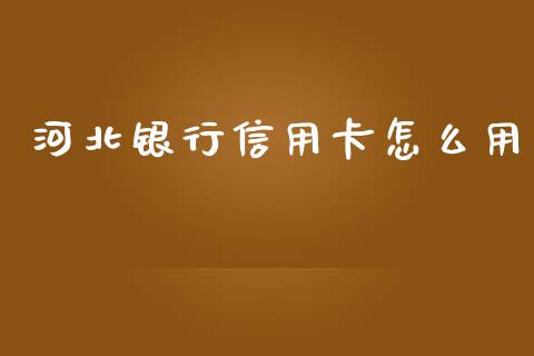河北银行信用卡怎么用_https://qh.lansai.wang_期货理财_第1张