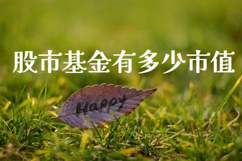 股市基金有多少市值_https://qh.lansai.wang_期货理财_第1张
